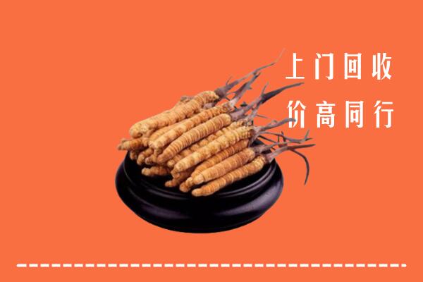 高价求购：钦州市钦南回收散虫草