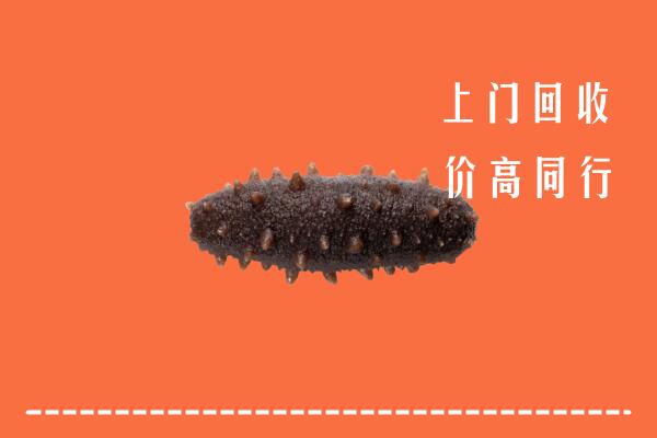 高价求购：钦州市钦南回收海参