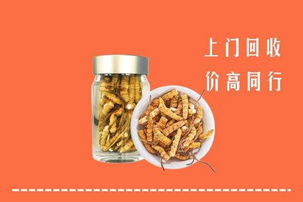 钦州市钦南回收冬虫夏草