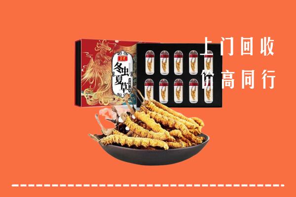 钦州市钦南回收虫草